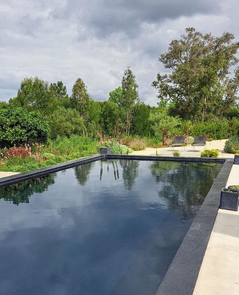 Ground-level view of the dark reflecting pool surrounded by garden