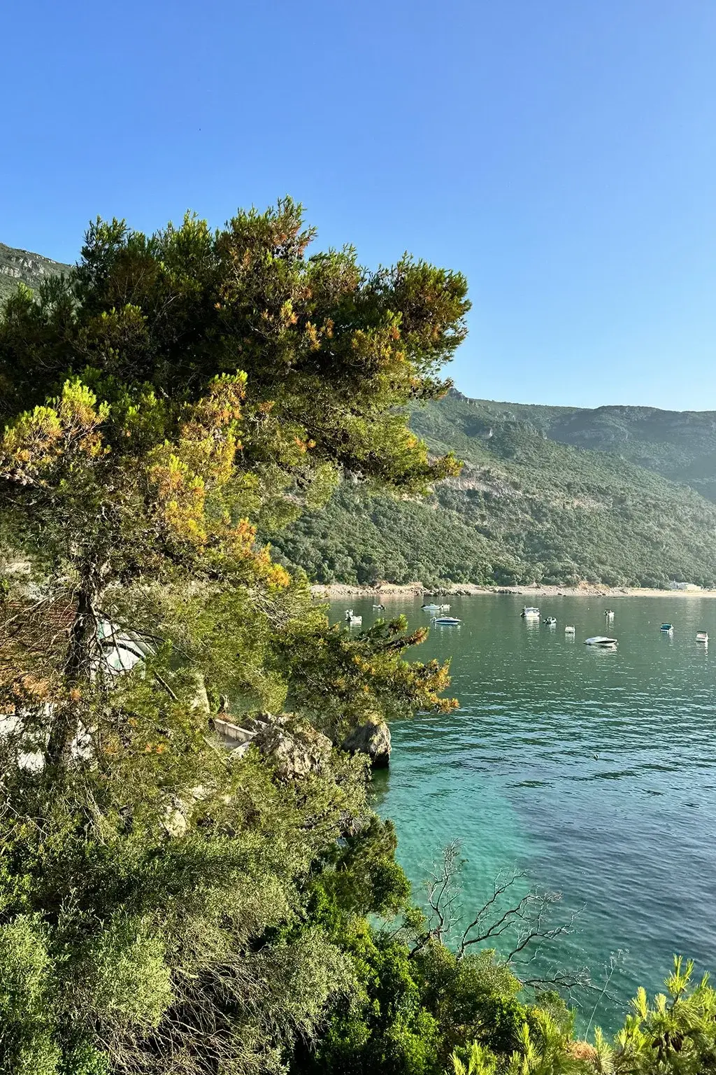 View of the bay and boats near the retreat venue